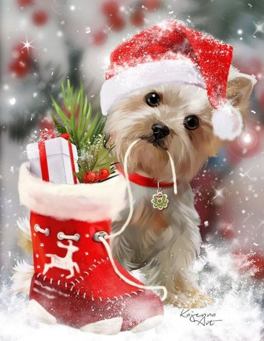 Hopeforever  Chien Noel, Images Joyeux Noël, Belles Images De Noël destiné Chien Noel 