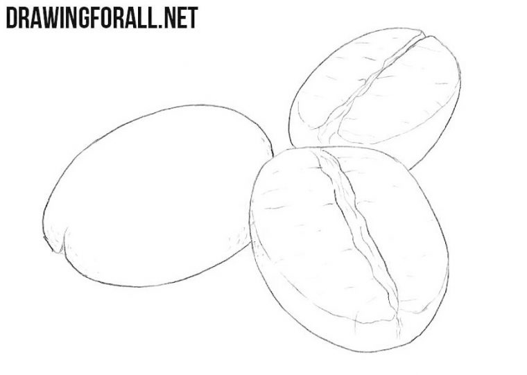 How To Draw Coffee Beans  Drawingforall concernant Grain De Café Dessin