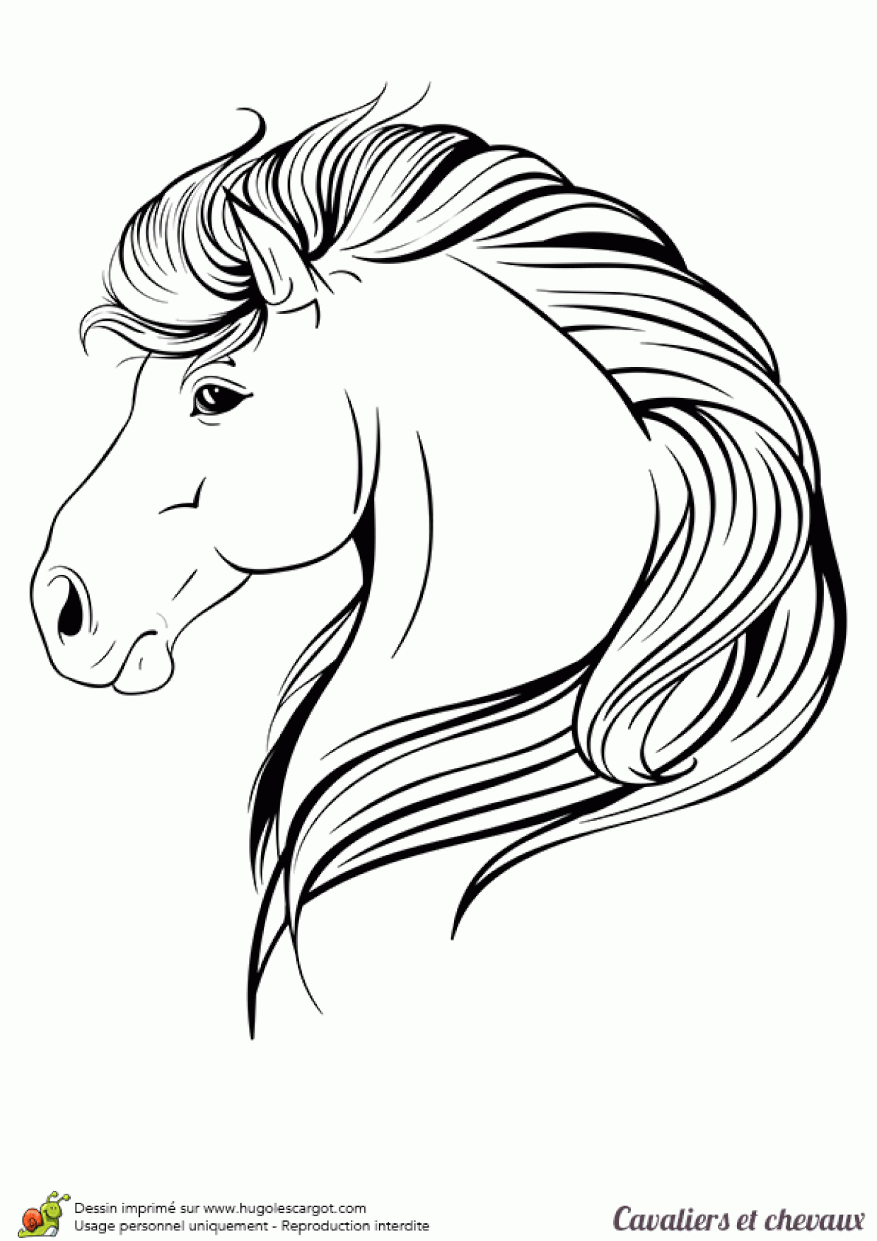 Idées Pour Dessin De Cheval Facile A Reproduire - Random Spirit pour Cheval Dessin Simple 