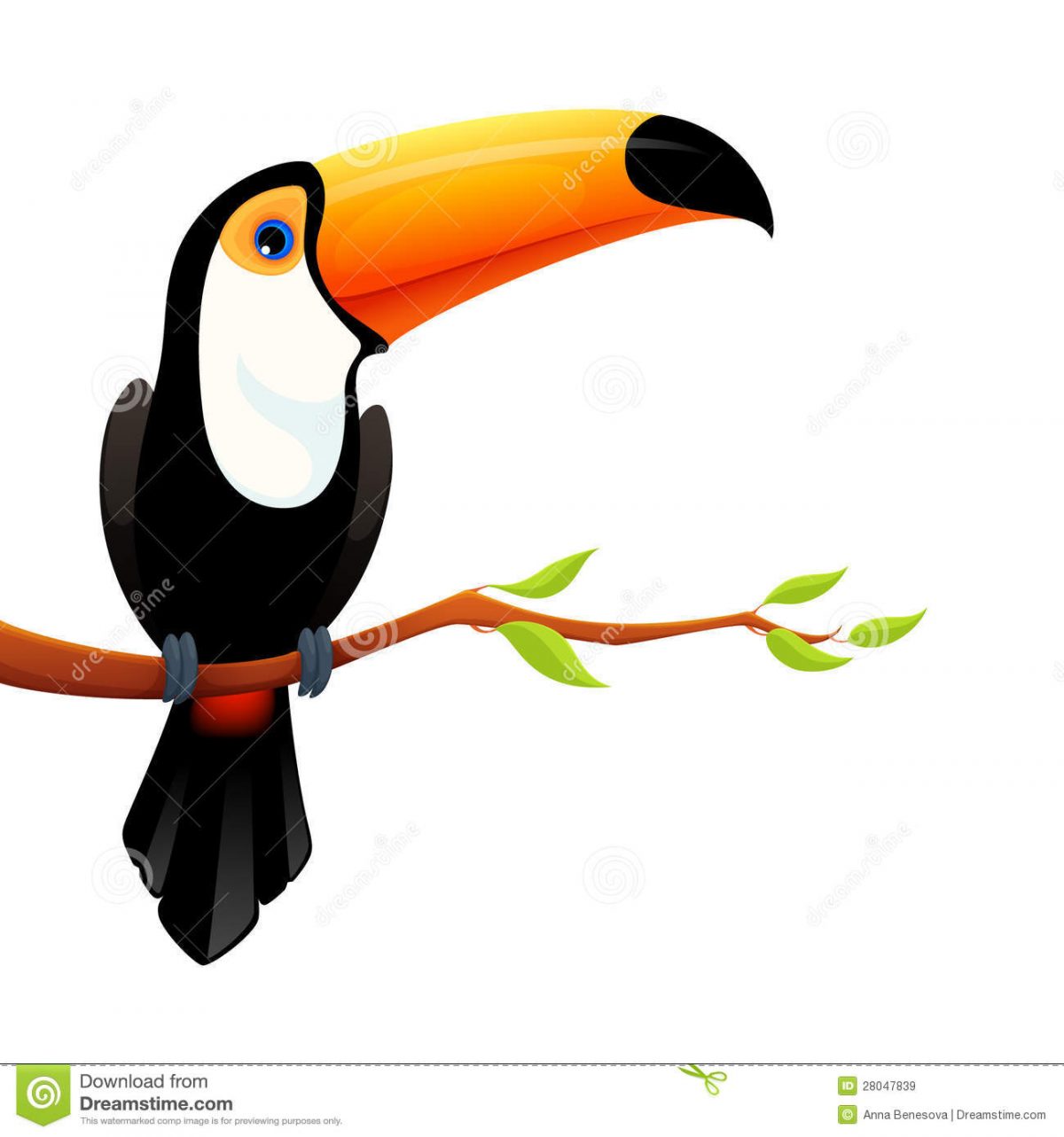 Illustration Color?E D'Un Toucan Mignon Illustration De Vecteur pour Dessin Toucan