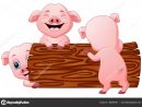Illustration D'Une Mignonne Caricature De Porc Sur Fond Blanc — Image pour Cochon Dessin