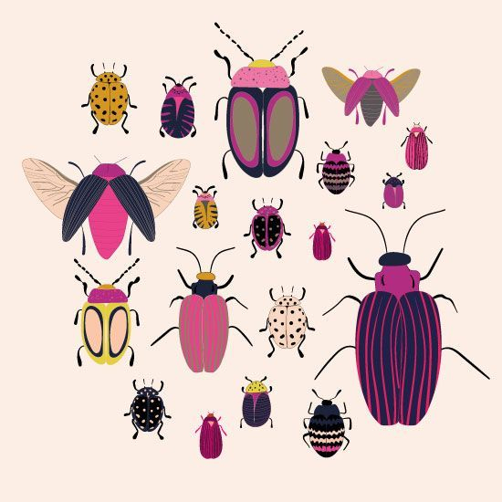 Illustration Insectes  Art D&amp;#039;Insecte, Dessin Insecte, Illustration serapportantà Dessin D Insectes 