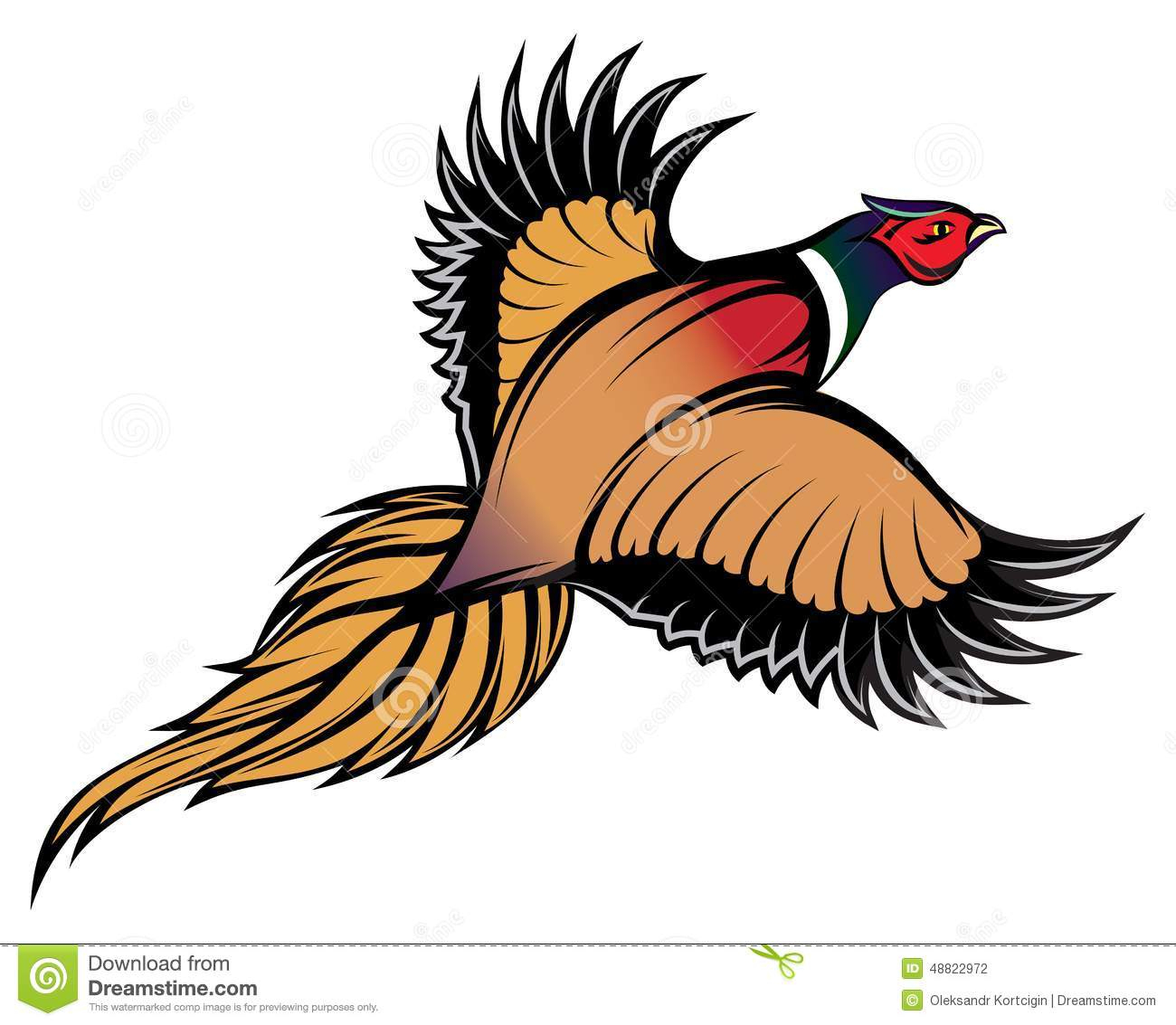 Illustration Of A Stylish Multi-Colored Flying Pheasant Stock Vector tout Dessin Faisan 