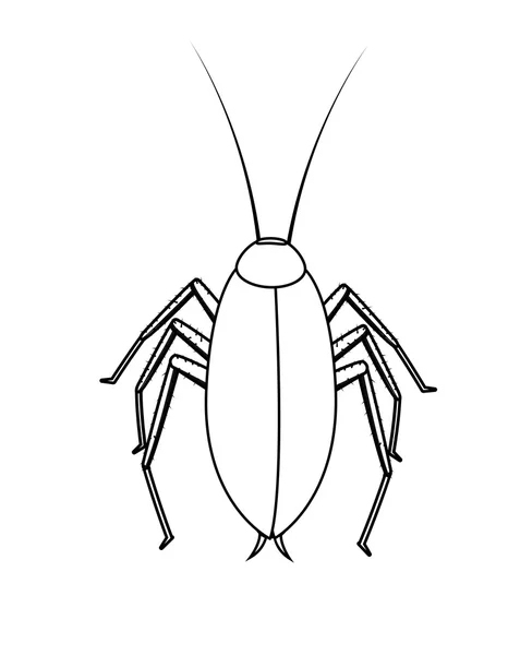 Illustration Vectorielle De L&amp;#039;Insecte Humain — Photographie Patrimonio destiné Cafard Dessin 