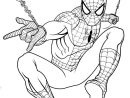 Image For Coloriage Spiderman À Imprimer A4 Mb28 Coloriage Disney À dedans Coloriage Spider Man