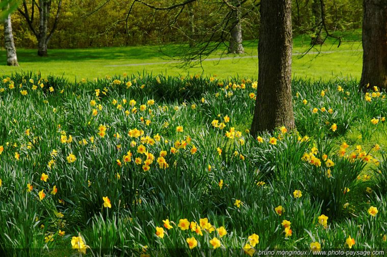 Image Paysage Gratuite A Télécharger • Les Plus Belles Photos Par serapportantà Images Printemps Gratuites