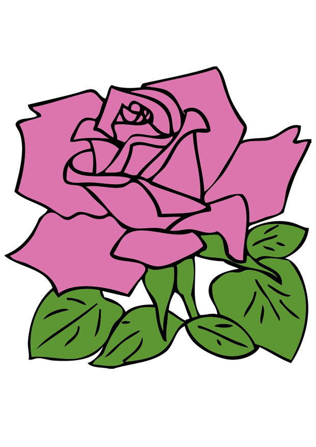 Image Rose – Images Gratuites À Imprimer – Dessin 21258 à Dessin Roses