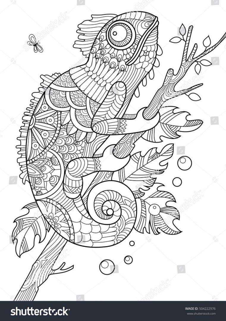 Image Vectorielle De Stock De Livre De Coloriage Du Caméléon Pour intérieur Coloriage Cameleon