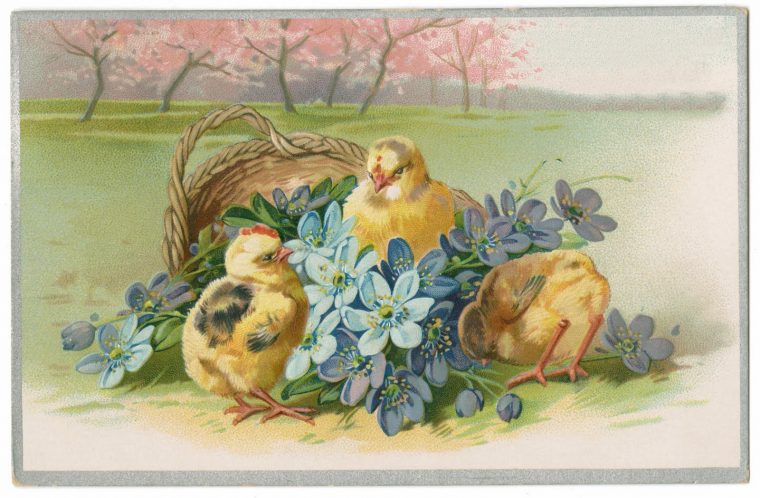 Images D'Autrefois: Poussins Et Joyeuses Paques, Images Anciennes encequiconcerne Joyeuses Paques Anglais