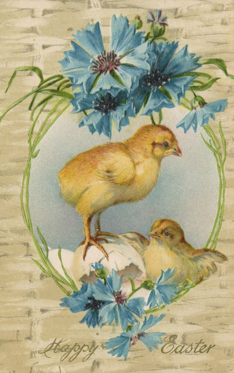 Images D'Autrefois: Poussins Et Joyeuses Paques, Images Anciennes serapportantà Joyeuses Paques Anglais