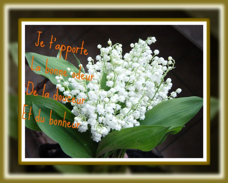 Imagetextes: Muguet-Porte-Bonheur intérieur Image Muguet Porte Bonheur Gratuite