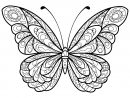 Impressionnant Image Coloriage Papillon - Mademoiselleosaki serapportantà Dessin De Papillon