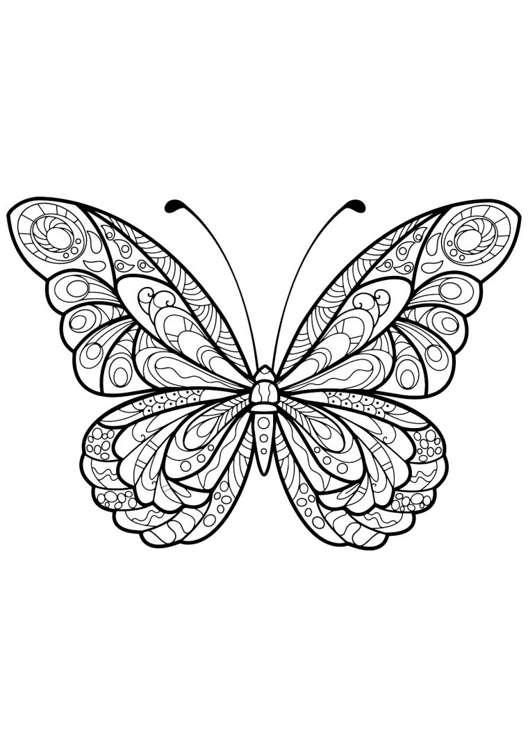 Impressionnant Image Coloriage Papillon – Mademoiselleosaki serapportantà Dessin De Papillon