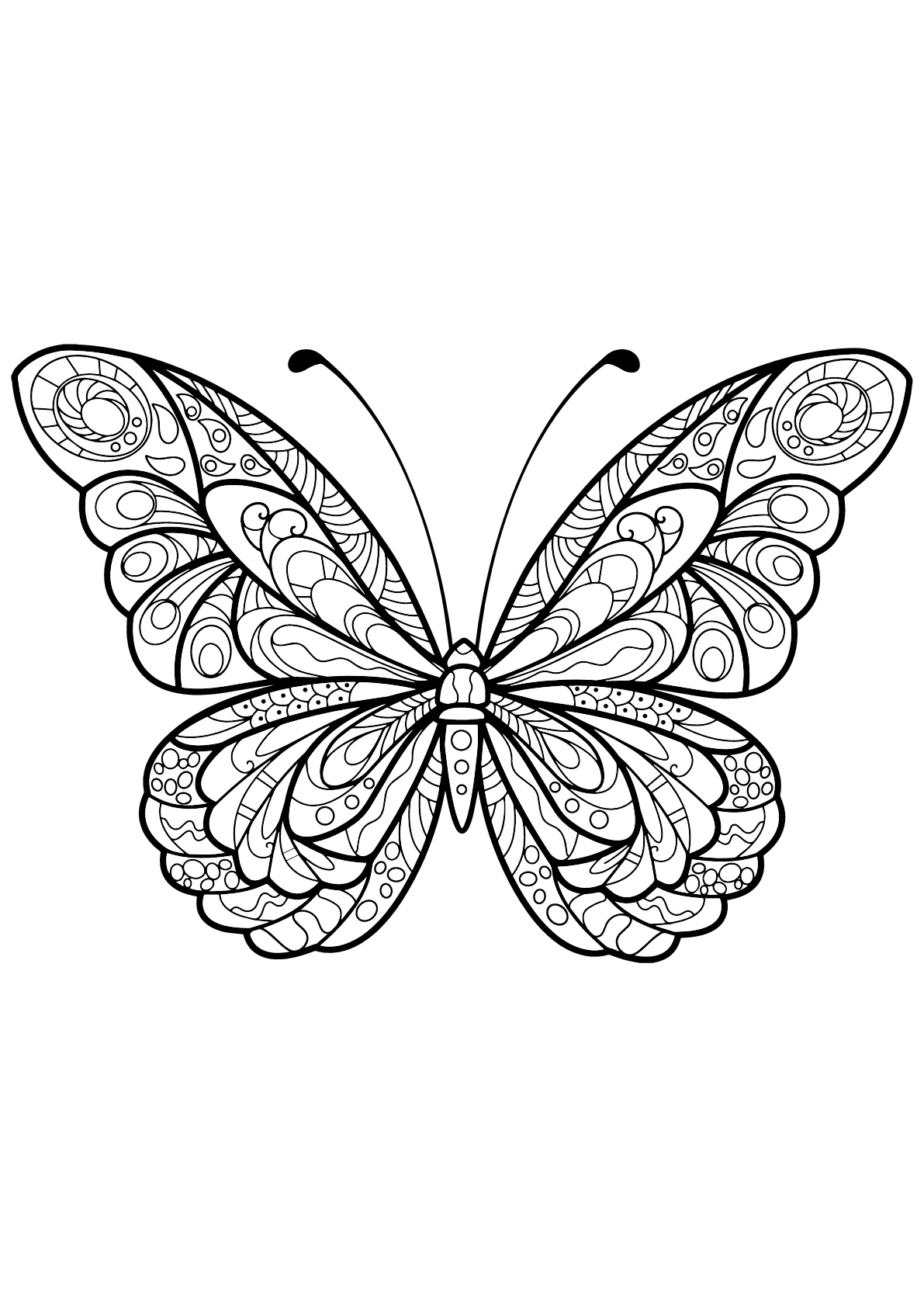 Impressionnant Image Coloriage Papillon - Mademoiselleosaki serapportantà Dessin De Papillon