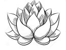 Imprimer Dessin De Fleur De Lotus Dessin - Businesssms pour Dessin Fleur De Lotus A Imprimer