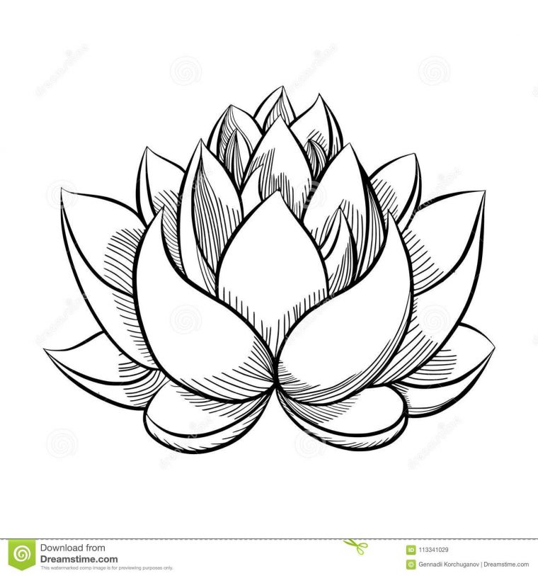 Imprimer Dessin De Fleur De Lotus Dessin – Businesssms pour Dessin Fleur De Lotus A Imprimer