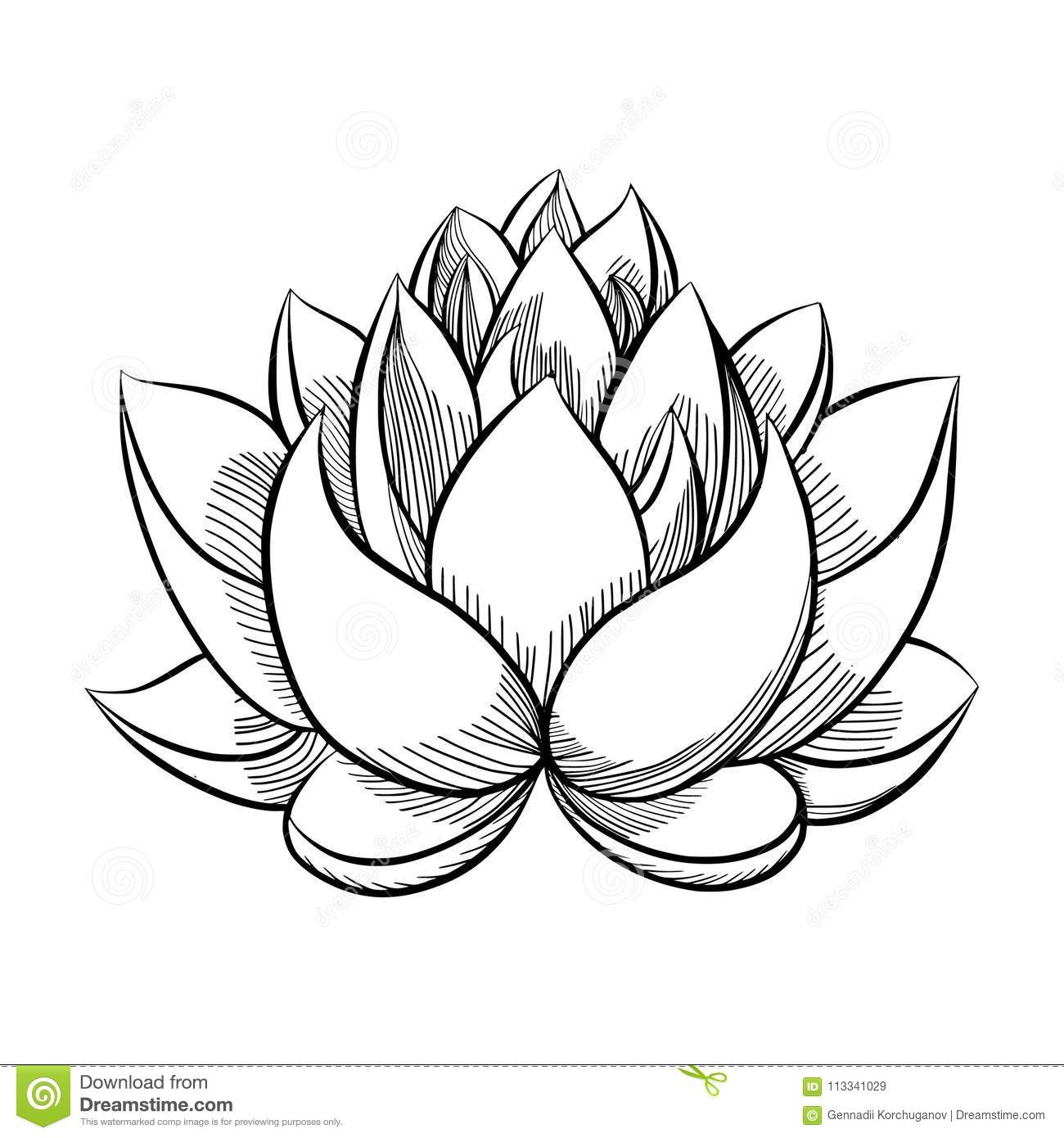 Imprimer Dessin De Fleur De Lotus Dessin - Businesssms pour Dessin Fleur De Lotus A Imprimer