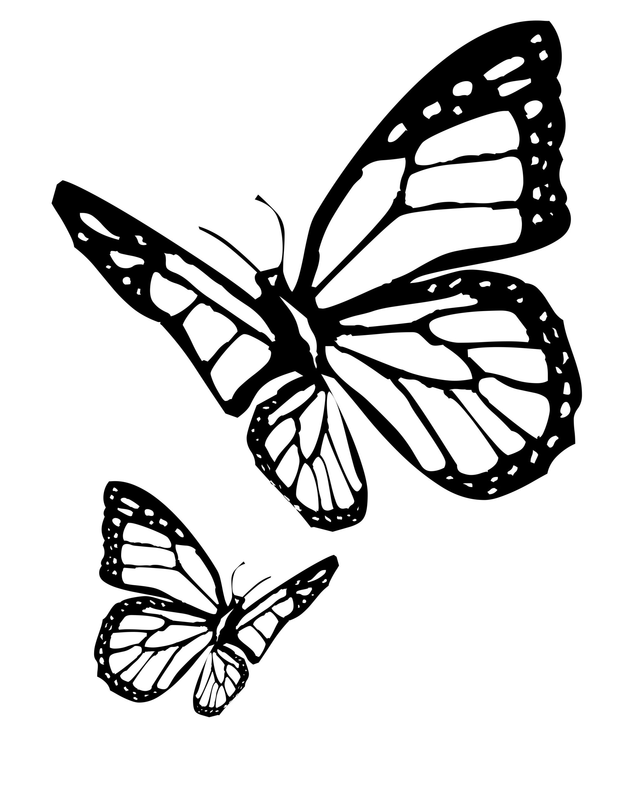 Imprimer Dessin De Papillon À Colorier Fond D'Écran - Topconcours pour Photo De Papillon A Imprimer