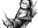 La Main De Dessin De Chimpanzé. Illustration Vectorielle — Image serapportantà Dessin De Chimpanzé