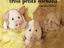 La Véritable Histoire Des Trois Petits Cochons - Livre - France Loisirs pour Histoire 3 Petit Cochon