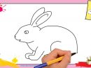 Lapins Dessin Luxe Photographie Dessin Lapin 2 Ment Dessiner Un Lapin concernant Dessin Un Lapin