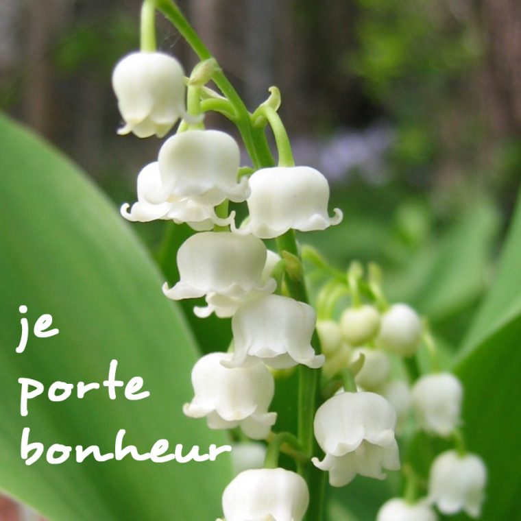 Le Muguet Du 1Er Mai destiné Bouquet De Fleurs Avec Du Muguet