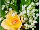 Le Muguet Du 1Er Mai - Passion Photos 78 à Bouquet De Fleurs Avec Du Muguet
