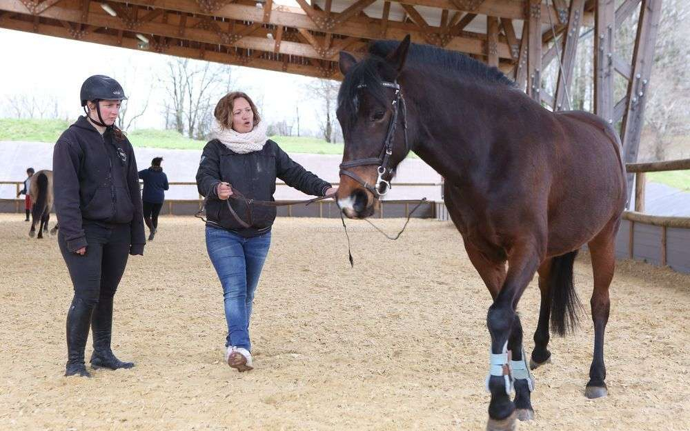 Le Pôle Cheval Du Chambon Relancé Au Grand Galop - Charente Libre.fr pour Regarder Grand Galop 