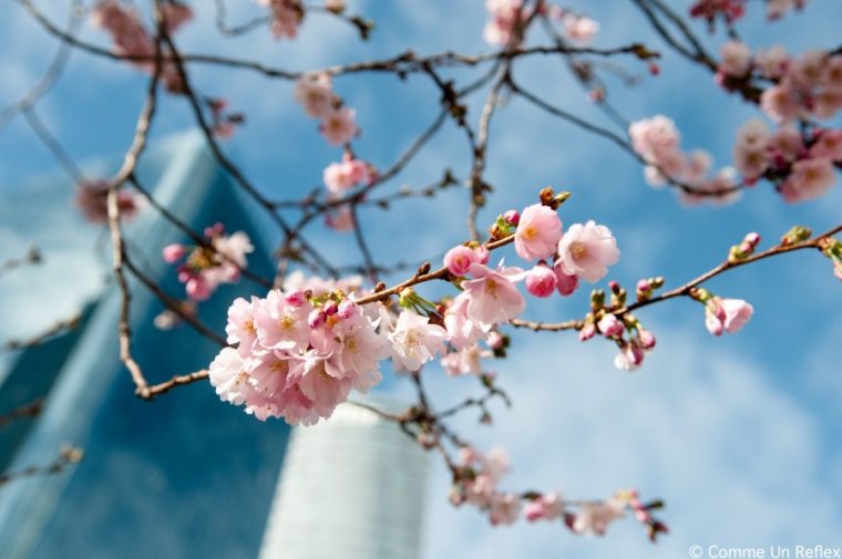 Le Printemps, La Saison Préférée De Tous – Objectif-Tendance avec Printemps Images Gratuites