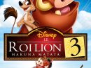 Le Roi Lion 3 : Hakuna Matata Streaming Sur Libertyland - Film 2004 dedans Le Roi Lion En Ligne