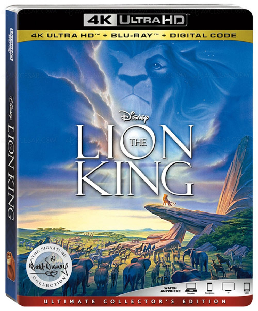 Le Roi Lion En 4K Ultra Hd Blu‑Ray Pour Les Fêtes ? Hakuna Matata concernant Le Roi Lion En Ligne 