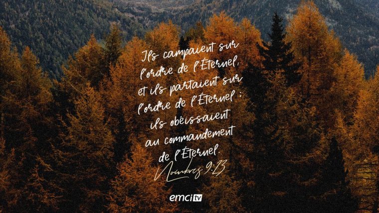 Le Verset Du Jour En Image :: Bible :: Emci Tv En 2020  Verset Du Jour serapportantà Verset Biblique Noel