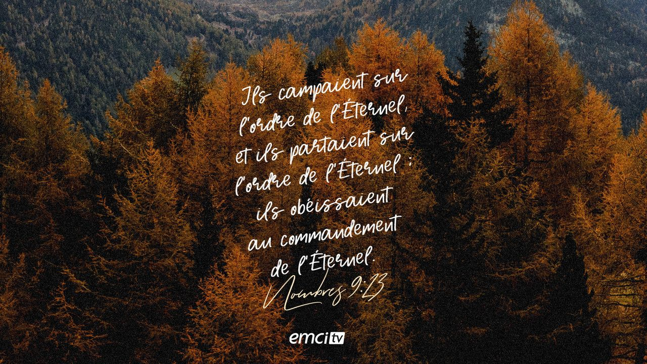 Le Verset Du Jour En Image :: Bible :: Emci Tv En 2020  Verset Du Jour serapportantà Verset Biblique Noel 