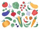 Légumes Dessinés À La Main. Légumes De Ferme, Produits Naturels De dedans Dessin De Legumes
