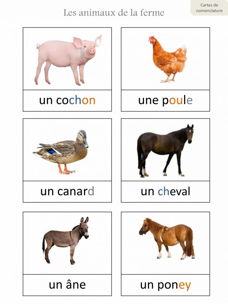 Les Animaux De La Ferme – Découverte Du Monde, Ecriture, Etude De La dedans Imagier Animaux