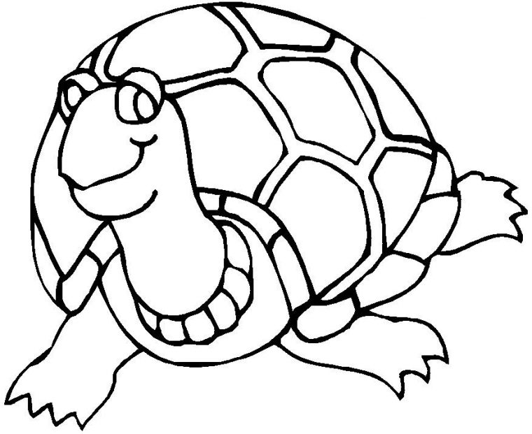 Les Coloriages – Les Tortues Terrestres – Vivelestortues concernant Coloriage Tortue