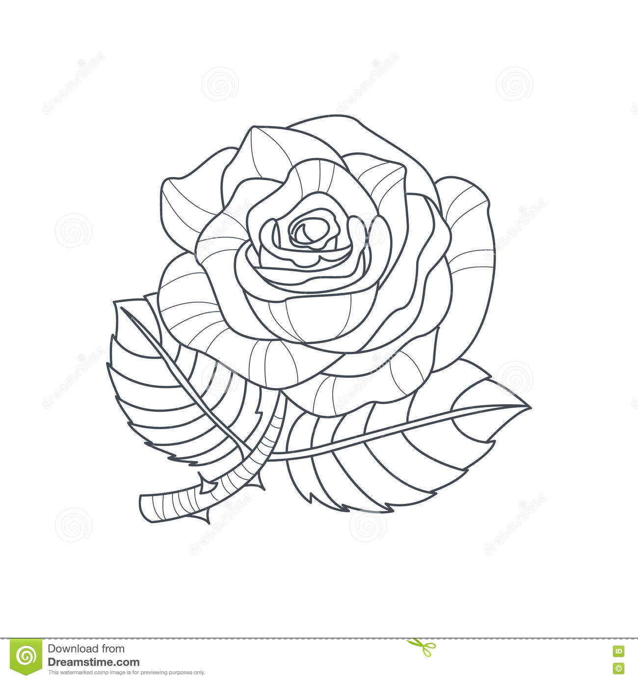 Livre De Coloriage De Rose Flower Monochrome Drawing For Illustration à Coloriage De Rose Rouge 