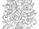 Livre De Coloriage De Roses Pour Le Vecteur D'Adultes Illustration De concernant Rose Coloriage