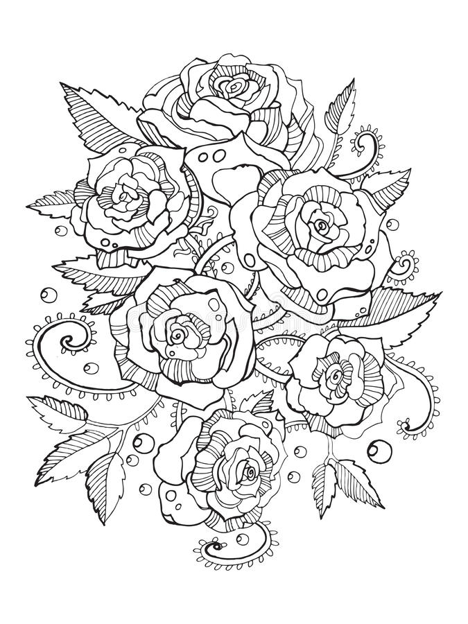 Livre De Coloriage De Roses Pour Le Vecteur D&amp;#039;Adultes Illustration De concernant Rose Coloriage 