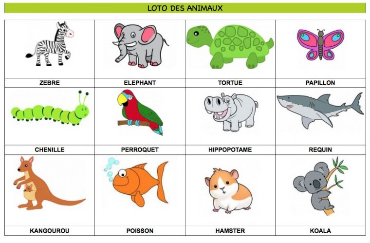 Loto Des Animaux À Imprimer 60 Animaux Au Total Partie 15 – Retrouvez à Imagier Animaux