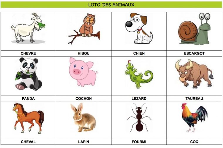 Loto Des Animaux À Imprimer 60 Animaux Au Total Partie 45 – Retrouvez concernant Imagier Animaux