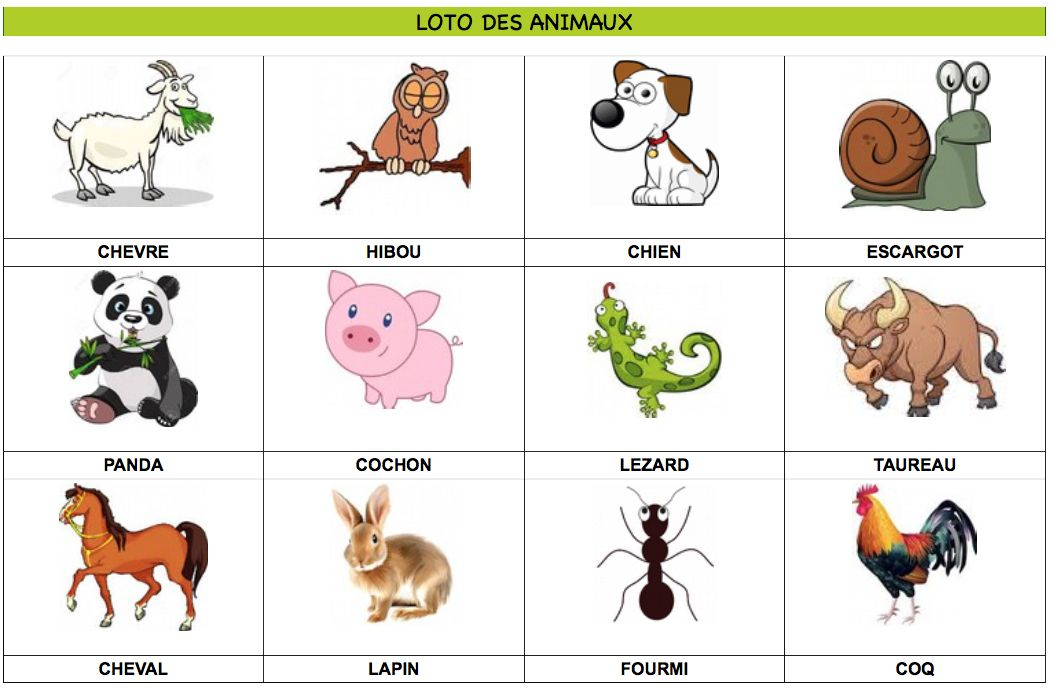 Loto Des Animaux À Imprimer 60 Animaux Au Total Partie 45 - Retrouvez concernant Imagier Animaux 