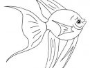 Lovely Fish Coloring Page, Nice Coloring Sheet Of Sea World. More à Dessin De Poisson