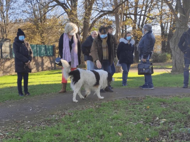 Lucky-Chien-Douai-2020-2 (1)  The Holidog Times tout Le Cri Du Chien