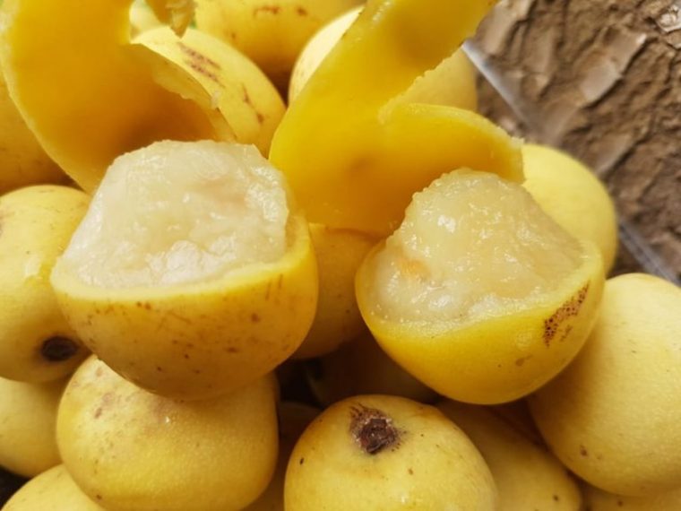 Marula-Fruit – Phytoalchemy concernant Fruits Oranges