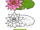Meilleur De Petale Coloriage Fleur De Lotus  30000 ++ Collections De dedans Dessin Fleur De Lotus A Imprimer