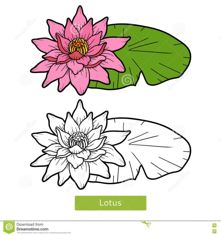 Meilleur De Petale Coloriage Fleur De Lotus  30000 ++ Collections De dedans Dessin Fleur De Lotus A Imprimer