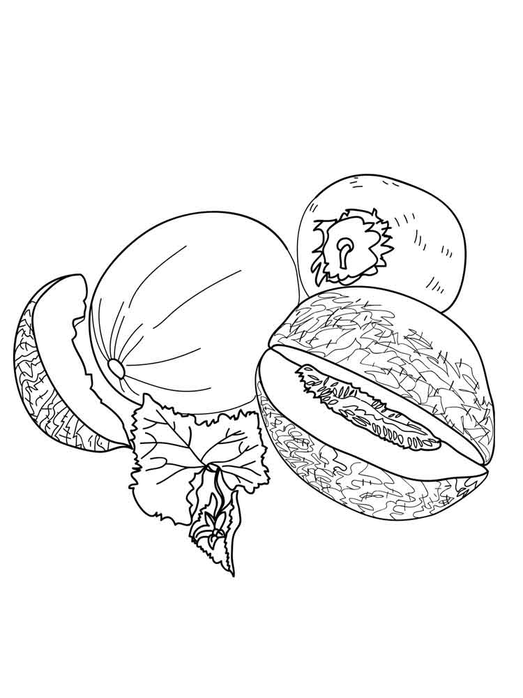 Melon Coloring Pages. Download And Print Melon Coloring Pages. intérieur Coloriage Melon 