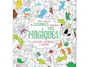 Mon Cahier De Coloriages Magiques Très Magiques ! - Couleurs destiné Cahier Coloriage Enfant