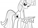 My Little Pony Twilight Sparkle Reading Coloring Page - My Little Pony tout Coloriage Twilight